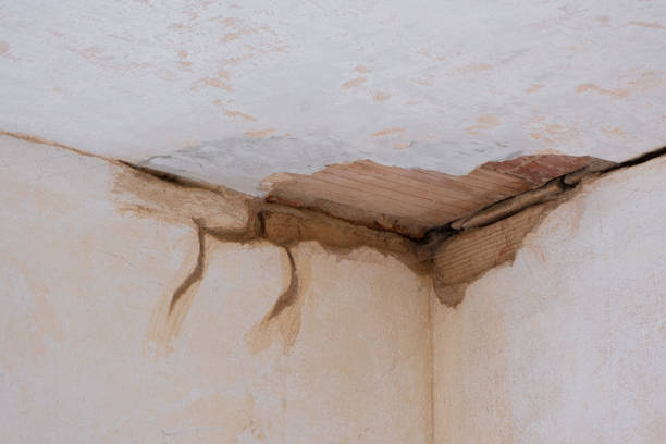 Best Water damage cleanup near me  in Sea Breeze, NC