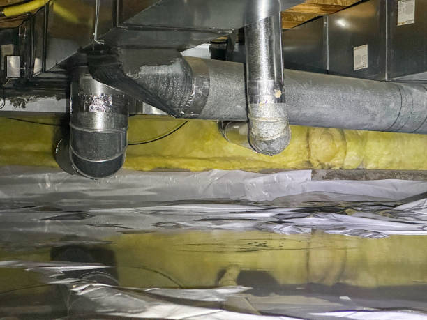 Best Basement water damage restoration  in Sea Breeze, NC