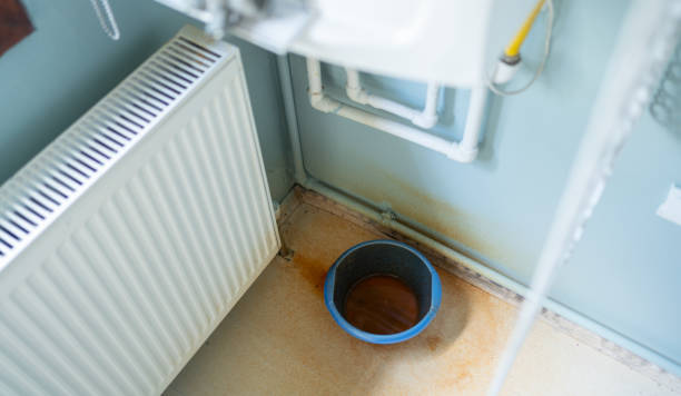 Best Water damage cleanup near me  in Sea Breeze, NC