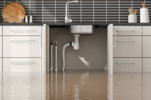 Best Water damage contractors near me  in Sea Breeze, NC